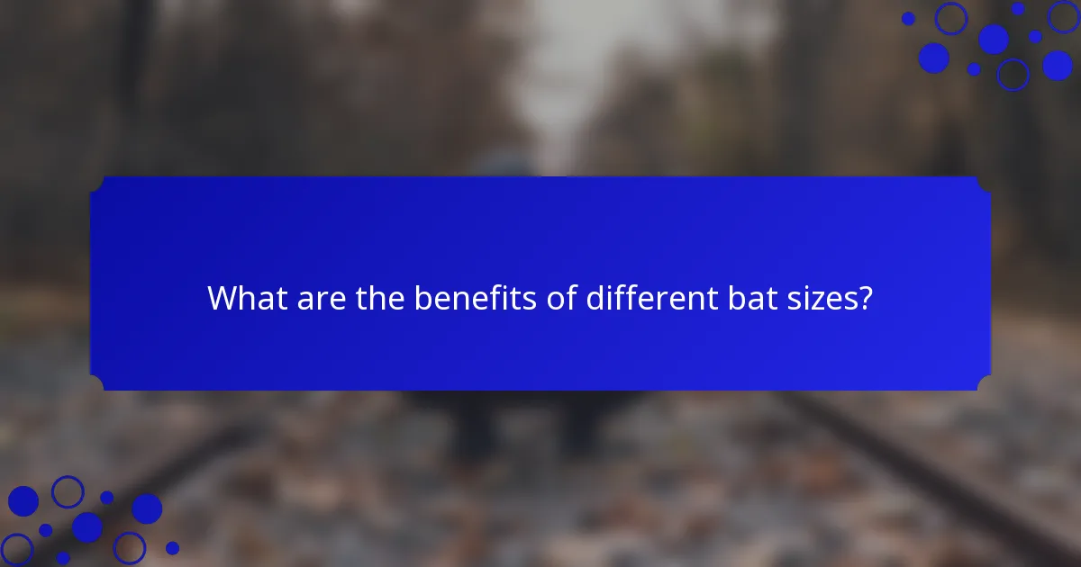 What are the benefits of different bat sizes?