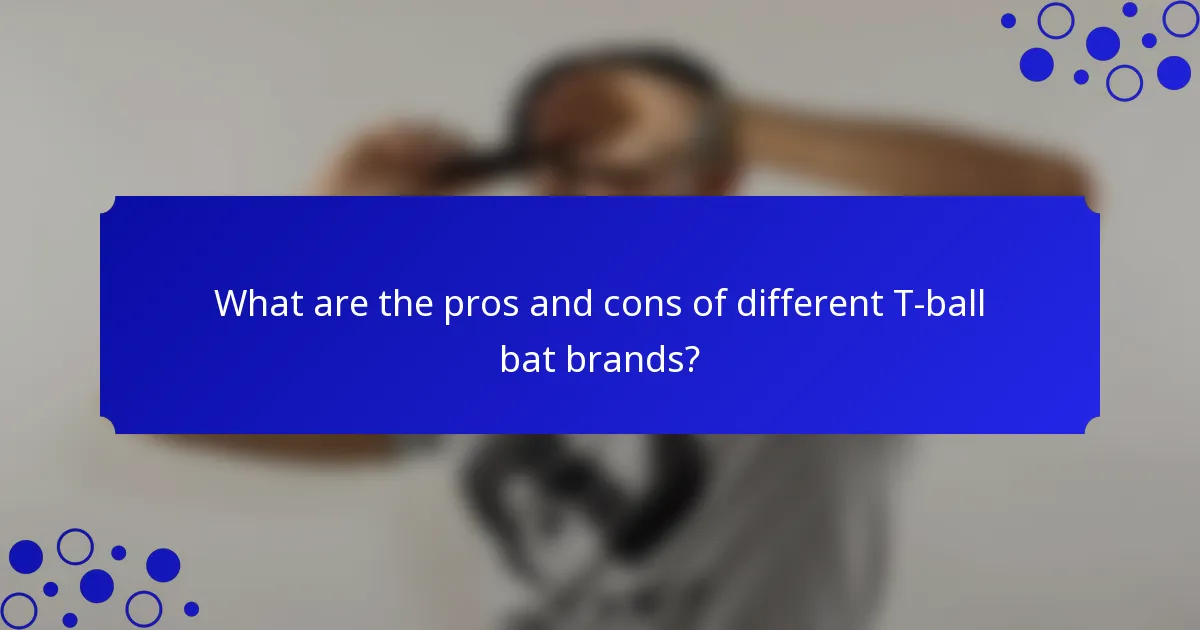 What are the pros and cons of different T-ball bat brands?